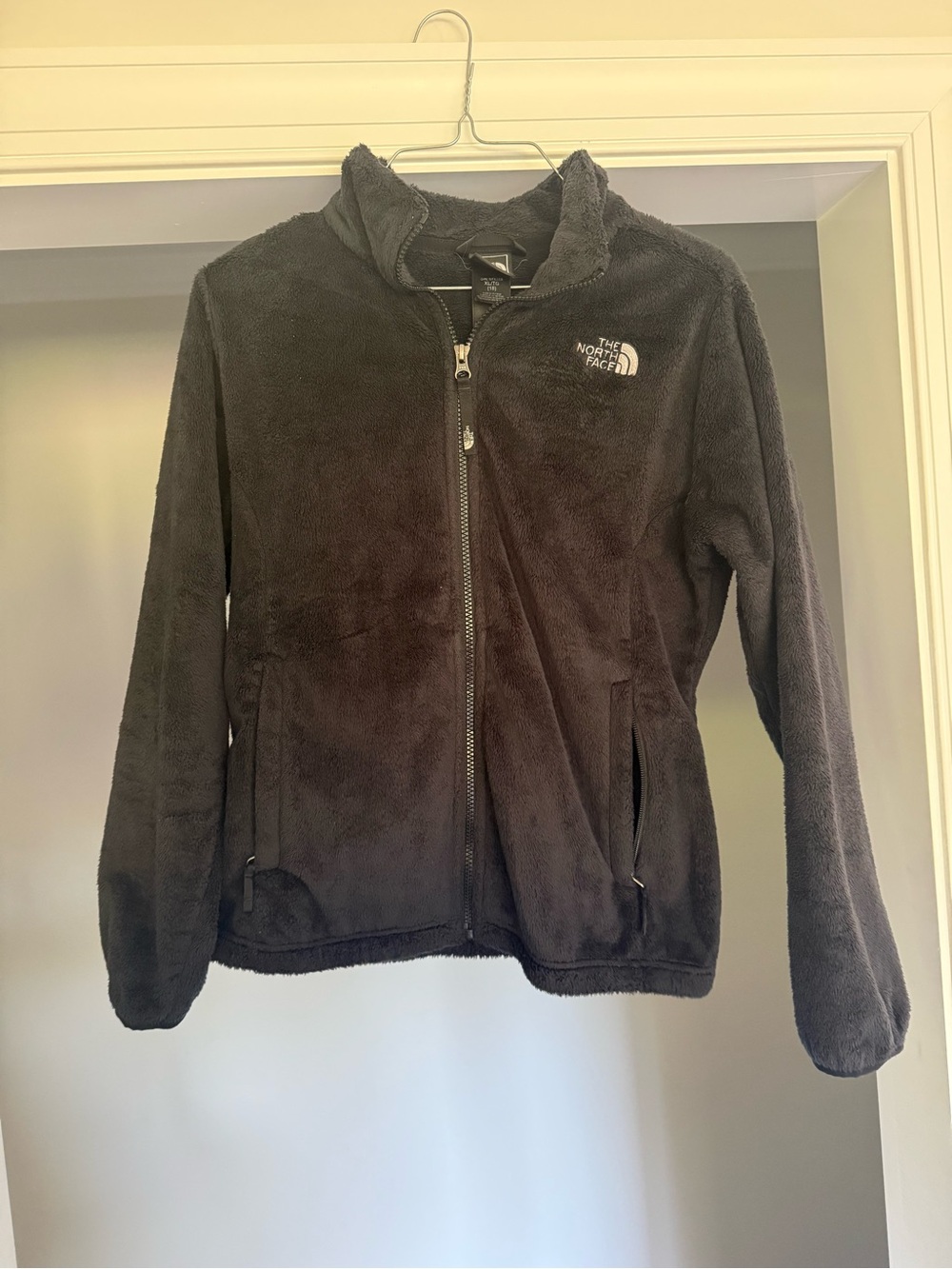 The North Face Black Plush Fleece Zip Jacket